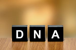 Blocks with DNA written on them