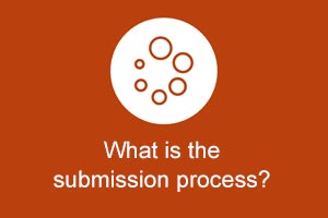 What is the submission process?