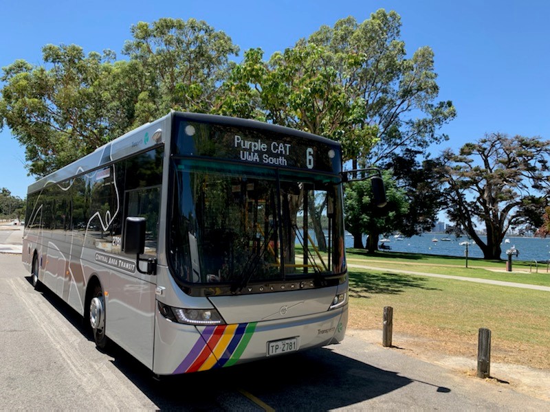 Purple CAT bus