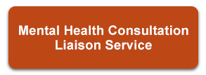 Mental Health Consultation Liaison Service