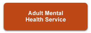 Adult Mental Health Service